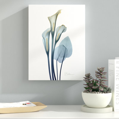 " Gold Splash Calla Lily 2 "