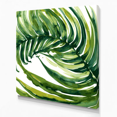Art mural sur toile Botanical Asplenium
