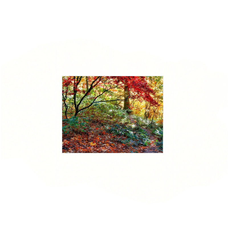 Feuilles d'automne, art mural 24 po x 18 po