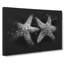 Two Starfish - Wrapped Canvas-56640567