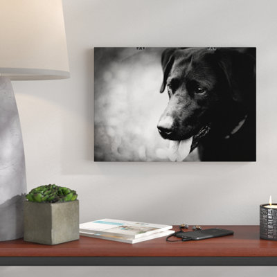 Black Labrador Dog - Frameless Print