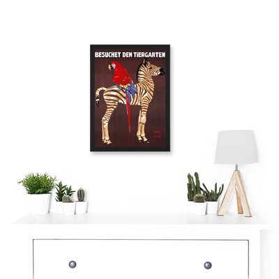 Zoo Zebra Parrot Germany - Single Picture Frame Print