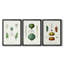 Fruit et légume Variétés I - Toile tendue avec châssis sur mesure - 3 pièces-117236652-117236655