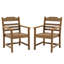 2 pièces Chaise de salle à manger de patio avec accoudoirs, hanches, grain de bois pour la cour arrière de la piscine, résistance, accoudoirs brun clair, matériau des hanches, surface de l'eau, coloration-1518380338