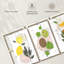 Abstract Sour Fruits - Ensemble de 3 toiles tendues-1642108666