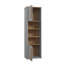 Phineas 194.2cm H x 58.6cm W Standard Bookcase