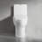 Quick-Release Elongated Toilet Seat
