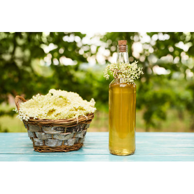 " Homemade Elderflower Syrup In A Bottle "