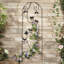 Sharlene 120cm H x 40cm W Metal Trellis