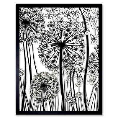 Vladimir Black And White Contour Folk Art Allium Flowers - Single Picture Frame Print