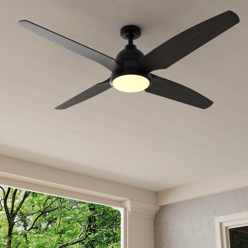 Alleron 56'' Ceiling Fan with LED Lights, Flat Black