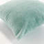 Suri Polyester Indoor/Outdoor Pillow Cover & Insert-176676553-176676554-176676555