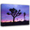 Art sur toile tendue par Talbot Frank, Christopher Gallery: California, Joshua Tree NP at Sunrise