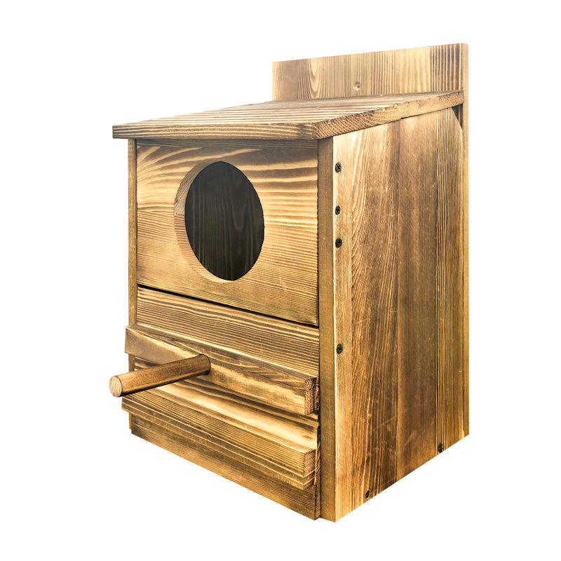 Ensemble de construction en bois Freta pour adultes avec hibou pour l'extérieur