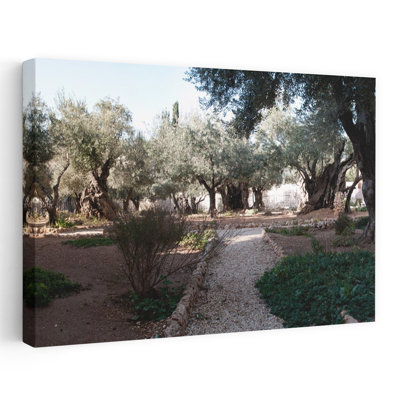 Probable Site Of The Garden Of Gethsemane Mount Of Olives All Nations Church Israel Jerusalem Abstract Landscape Nature Art