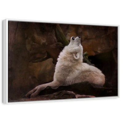 Loup blanc