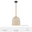 Grand luminaire suspendu 1 lumière Hunter Baskel