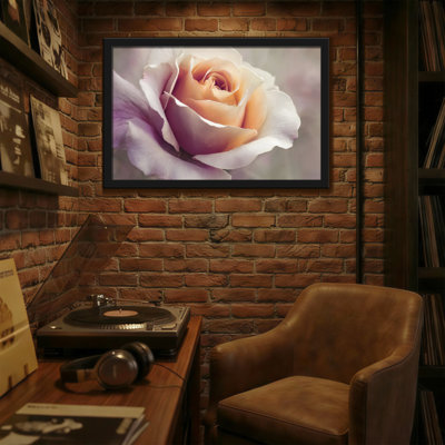 Plants & Flowers Soft Rose Petal Close Up Art Print