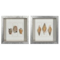 2,296 Seashell Hanging Decoration Images, Stock Photos, 3D objects