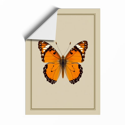 Orange Butterfly Study Botanical - Print