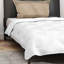 Winter Duvet Set With Pillow 2 Pcs White Microfiber-2122139003