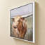 «Big Sky Longhorn» par Danhui Nai, impression sur toile-692382436-692382446