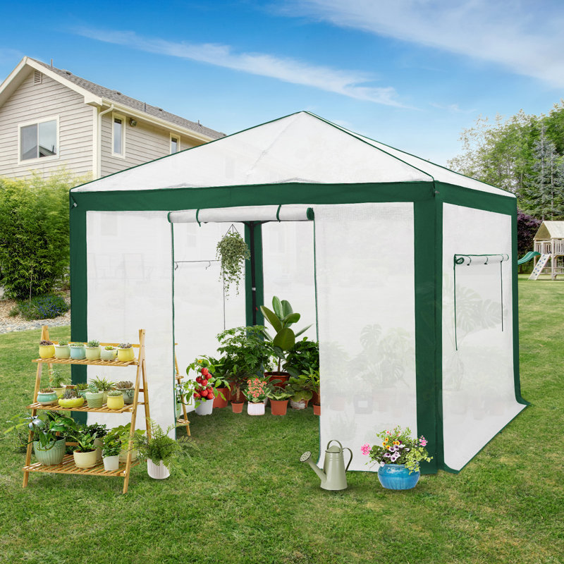 10 x 10 FT Outdoor Portable Walk-In Hobby Greenhouse, Flower House, Green