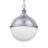 Simple Globe 2-Light Pendant Light-39122193