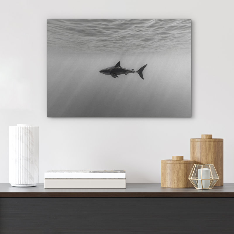 «Black and White Shark Ocean Profond Modern Coastal Decor», reproduction d'art sur toile encadrée, Toile tendue