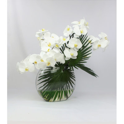 Phalaenopsis Orchid Floral Arrangement in Vase