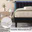 Lit plateforme Breella-968817848-972807270