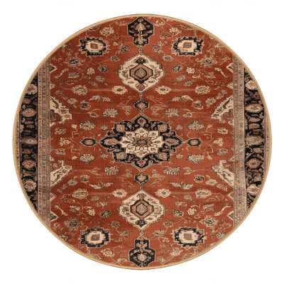 Machine Washable Persian Brown Area Rug