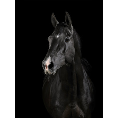 Décoration murale en acrylique noir avec visage de cheval noir