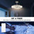 32.7" Caged Ceiling Fan with Dimmable LED Lights and Remote Control
