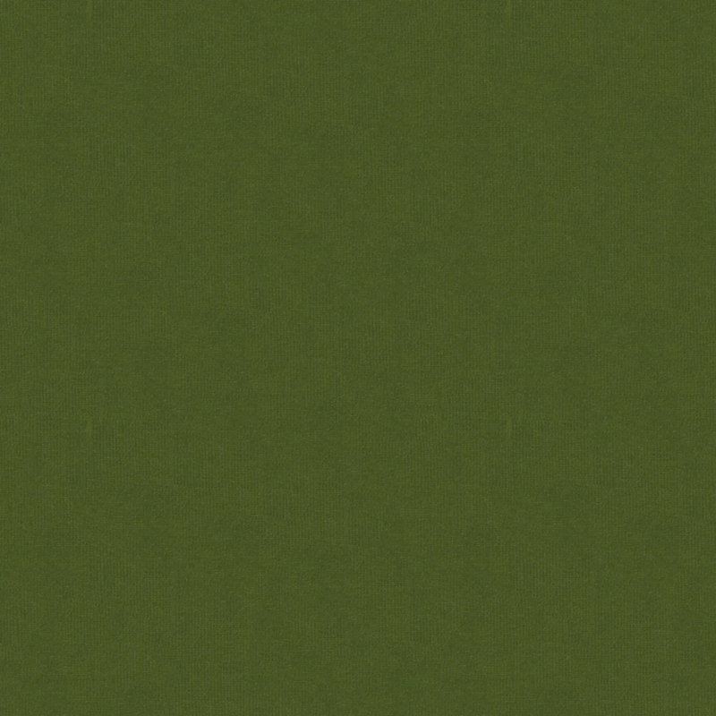 Spectrum Velvet Fabric, Olive