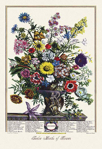 Douze mois de fleurs, impression