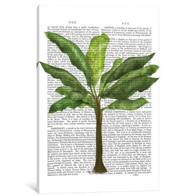 " Banana Tree I " by Fab Funky