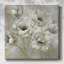 Doux coquelicots naturels sur toile-595632551