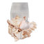 Figurine Oakden Coastal Seashell Sculpture-2049609556
