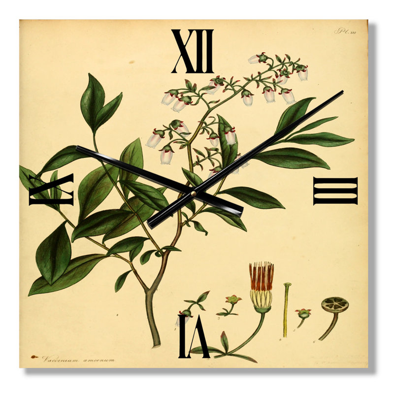 Horloge murale Plant Life, Petit