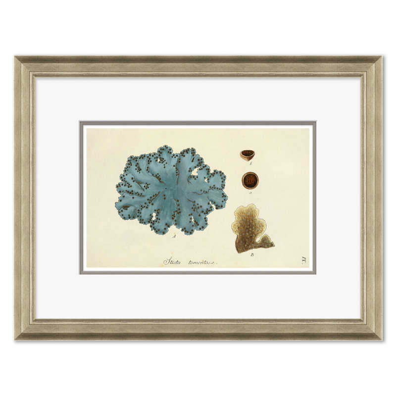 Blue Coral Giclee Print by Paul Cezanne