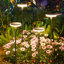 Solar Powered Integrated LED Pathway Light Pack