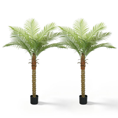 Faux Astorga with Realistic Leaves for Indoor and Outdoor Deor