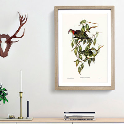 Superb Fruit Pigeons by Elizabeth Gould - Picture Frame Art Prints