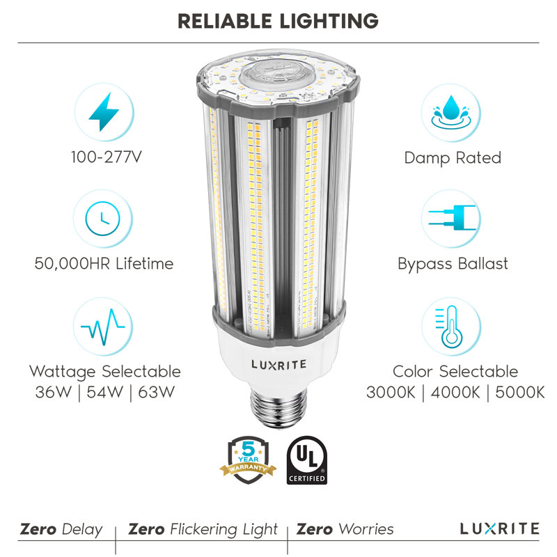 63 Watt, LED Light Bulb Color Changing E39/Mogul Base