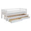 Booth Solid Wood Daybed with Trundle