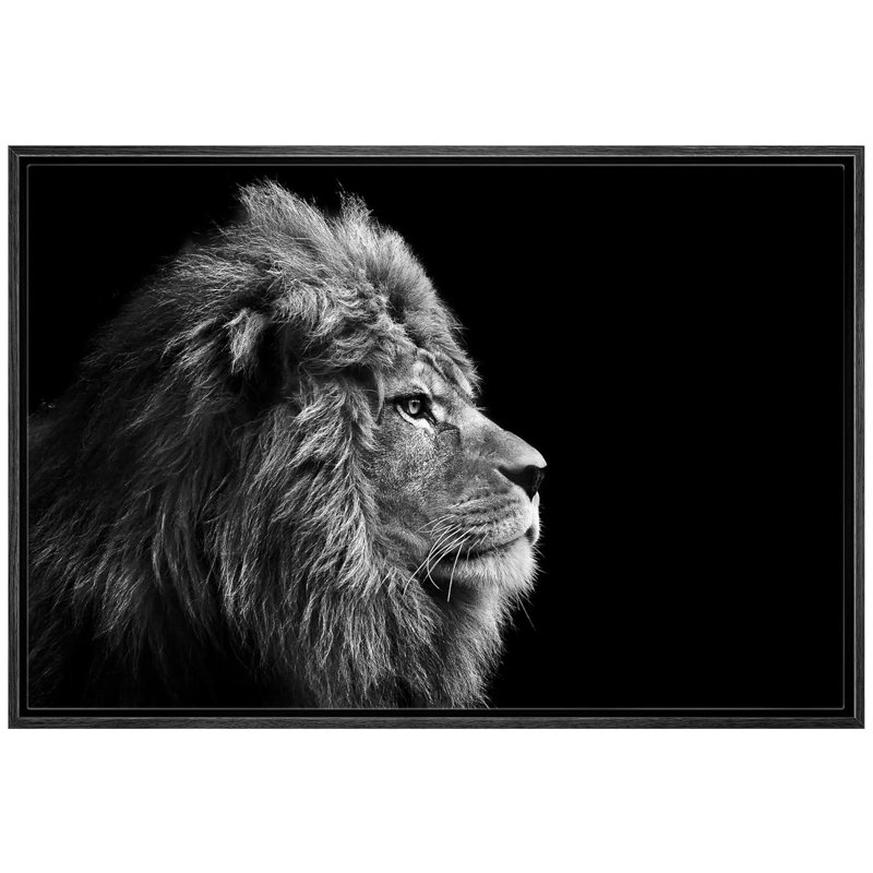 Un lion sur fond noir, estampe numérique sur toile, H 24 po x l 36 po x P 1,5 po, Cadre noir