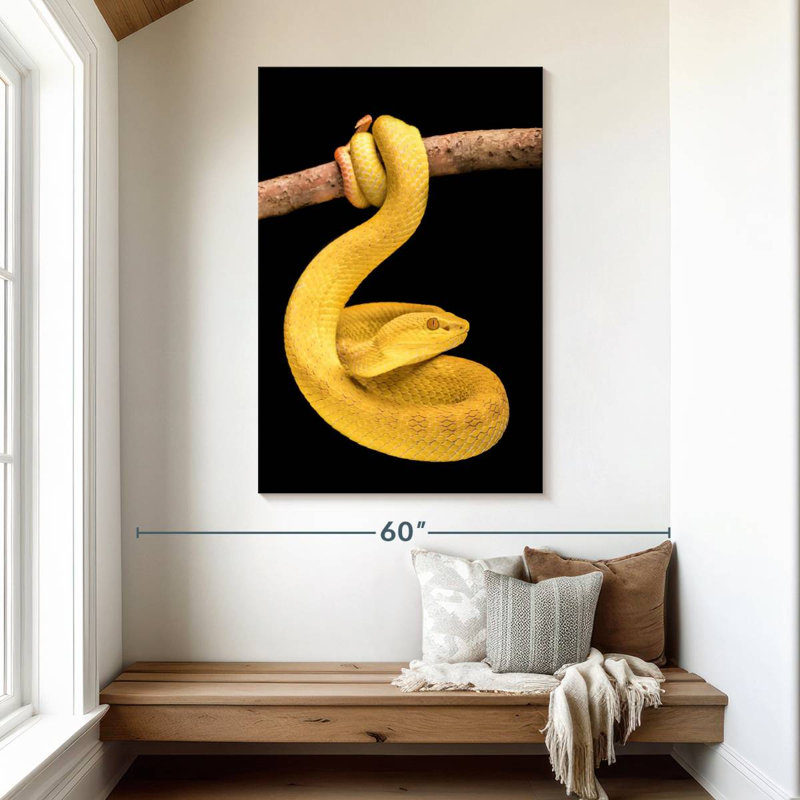 Brampt Venomous Pit Viper, 48" H x 32" W