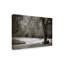 «My Solitude» par Hahne, reproduction de photo sur toile tendue-29763258