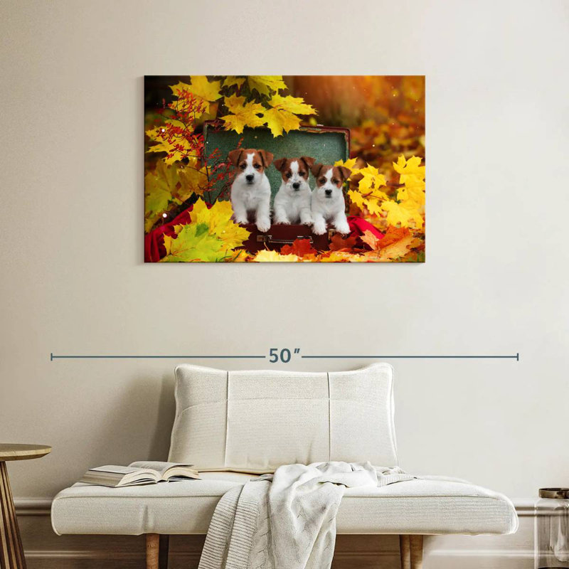 Chiots d'automne Brampt